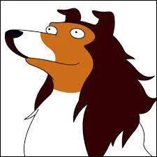 Quel est le nom de ce chien adopté par Lisa ?