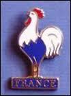 Quel est l'emblème de l'équipe de France ?