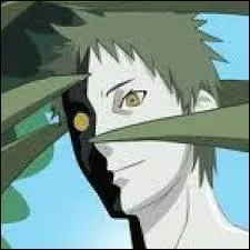 Il s'appelle Zetsu et a un rôle important lors d'une certaine guerre. De quel manga provient-il ?