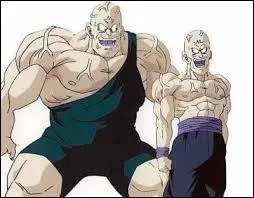 Qui est le personnage à gauche de l'image ?