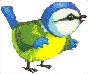 C'est ... la mésange !