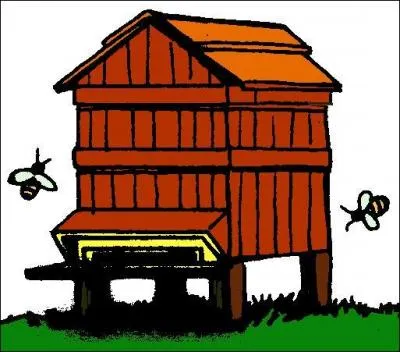 Habitation d'une seule colonie d'abeilles !