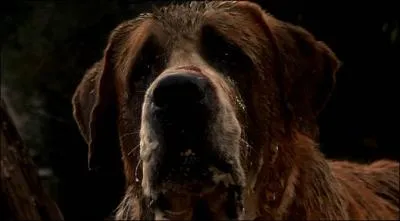 Comment s'appelle-t-il ?