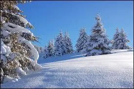 Vous connaissez sûrement l'Everest. Mais dans quelle chaîne de montagnes se situe-t-il ?