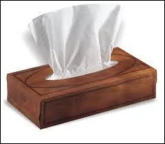 Quand sont nés les mouchoirs en papier ?