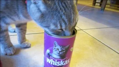 Quelle est cette marque de pâtée pour chat ?