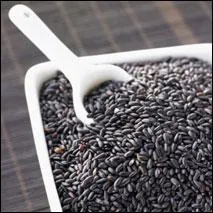 Qu'est-ce qui est représenté sur la photo ?