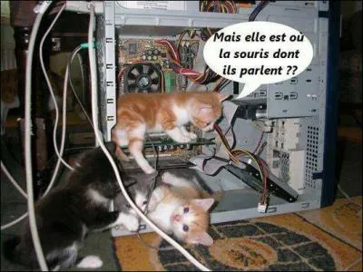 Et si vous me reprochez d'avoir oublié une virgule dans ce long quiz...