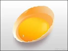 A poids égal, quelle partie de l'uf contient le plus de protéines ?