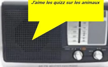 Quiz Paroles
