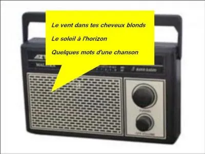 Qui chante ?