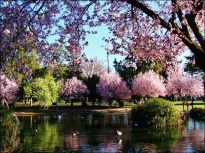 A quelle date approximative profite-t-on du plus long jour de l'année ?