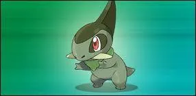 Parmi les Pokémon de Sacha, qui est le meilleur ami du Coupenotte d'Iris ?