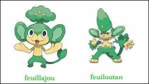 Le Feuillajou de Rachid...