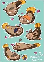 Vrai ou faux : Limonde est le premier Pokémon que Rachid a attrapé dans la région d'Unys.