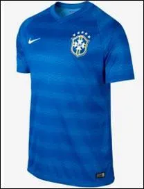Laquelle de ces équipes ne verra-t-on jamais jouer en bleu au Mondial 2014 ?