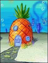 Qui habite dans un ananas ?