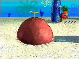 Qui habite sous un rocher ?