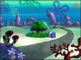 Je me demande qui habite dans un dôme ?