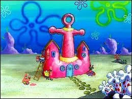 Qui habite dans une ancre rose ?