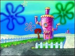 Qui habite dans cette maison rose ?