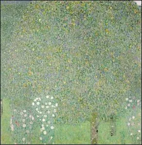 Roses sous les arbres.