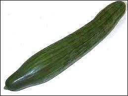 Quel légume est représenté sur la photo ?