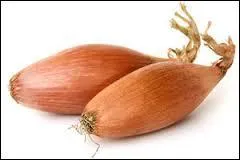 Quel légume est représenté sur la photo ?