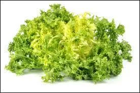 Quel légume est représenté sur la photo ?