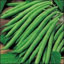 Quels légumes sont représentés sur la photo ?