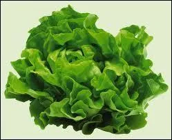 Quel légume est représenté sur la photo ?