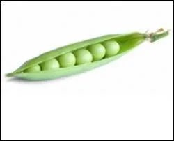 Quels légumes sont représentés sur la photo ?