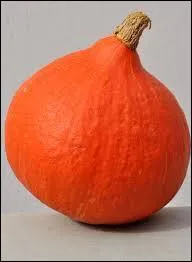 Quel légume est représenté sur la photo ?