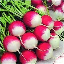 Quels légumes sont représentés sur la photo ?