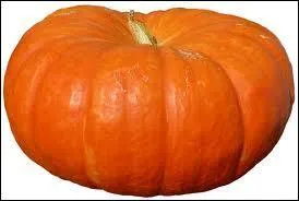 Quel légume est représenté sur la photo ?