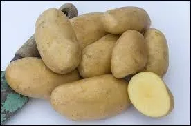 Quels légumes sont représentés sur la photo ?