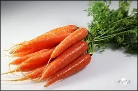 Quel légume est représenté sur la photo ?