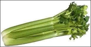 Quel légume est représenté sur la photo ?