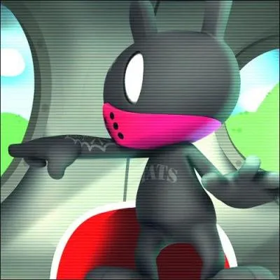 A qui appartient ce matoki ?