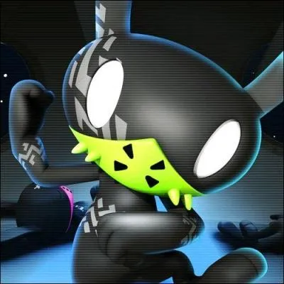 A qui appartient ce matoki ?