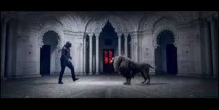 Quel animal voit-on le plus souvent dans son clip "Pourquoi" ?