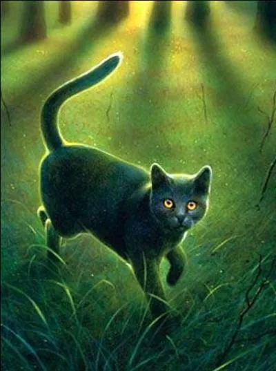 Trouvez l'erreur ou les erreurs sur cette image de Gris Poil.