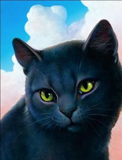 Trouvez l'erreur ou les erreurs sur cette image de Pic.