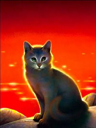 Trouvez l'erreur ou les erreurs sur cette image d'Étoile de Rivière.