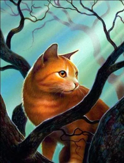 Trouvez l'erreur ou les erreurs sur cette image d'Étoile de Tonnerre.