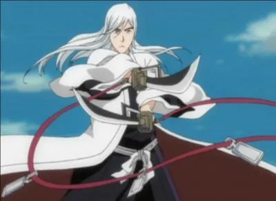 Jushiro Ukitake, capitaine aux longs cheveux blancs, possède un sabre qui se nomme ... ?