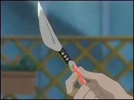 On va laisser les capitaines et les vice-capitaines de coté afin de s'intéresser à d'autres personnages ! Comment se nomme le Shikai de Hanatarō Yamada ?