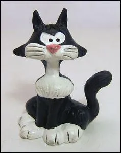 Connaissez-vous le nom de ce chat ?