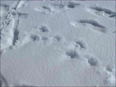 Nous continuons avec celle-ci :