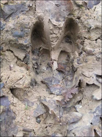 Maintenant avec celle-ci: